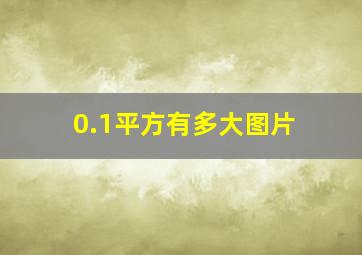 0.1平方有多大图片