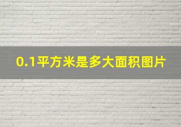 0.1平方米是多大面积图片