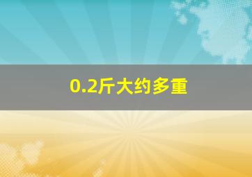 0.2斤大约多重