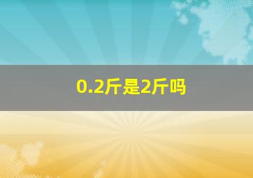 0.2斤是2斤吗