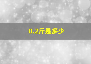 0.2斤是多少