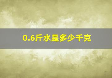 0.6斤水是多少千克