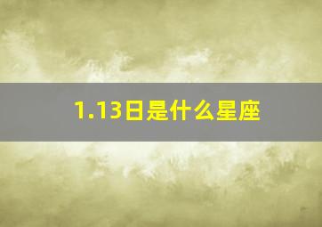 1.13日是什么星座