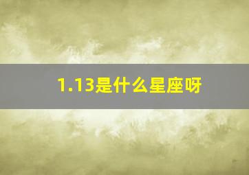 1.13是什么星座呀