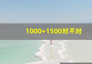 1000+1500对不对