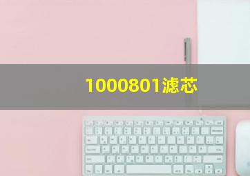 1000801滤芯