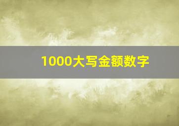 1000大写金额数字