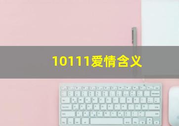 10111爱情含义