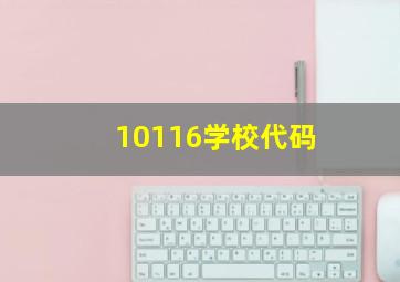 10116学校代码