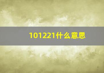 101221什么意思