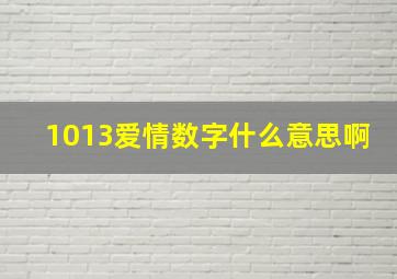 1013爱情数字什么意思啊