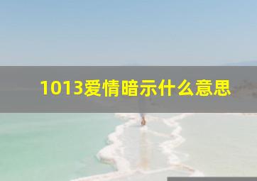 1013爱情暗示什么意思