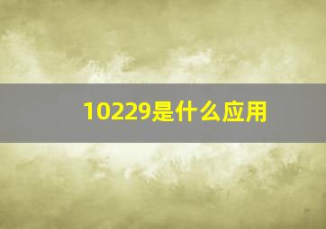 10229是什么应用