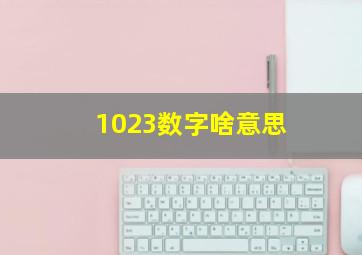 1023数字啥意思