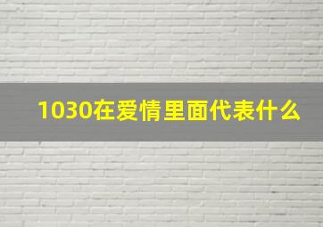 1030在爱情里面代表什么