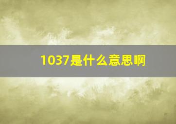 1037是什么意思啊