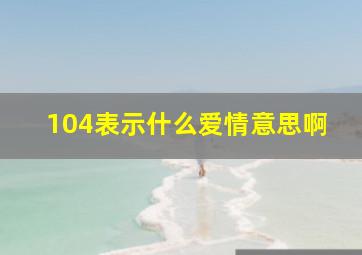 104表示什么爱情意思啊