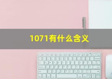 1071有什么含义