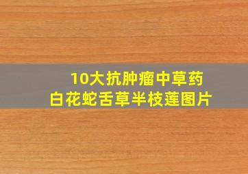 10大抗肿瘤中草药白花蛇舌草半枝莲图片