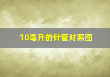 10毫升的针管对照图