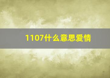 1107什么意思爱情