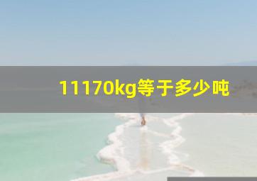 11170kg等于多少吨