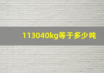 113040kg等于多少吨