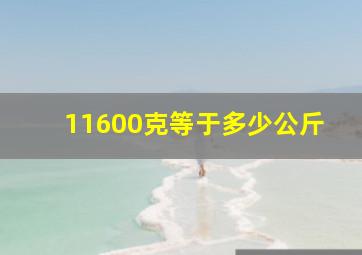 11600克等于多少公斤