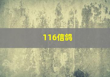 116信鸽