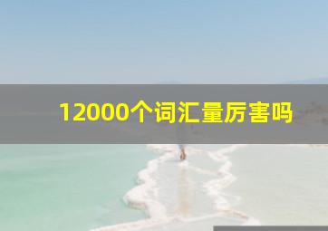 12000个词汇量厉害吗