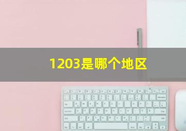 1203是哪个地区