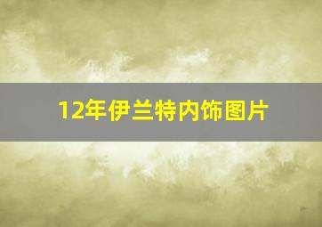 12年伊兰特内饰图片