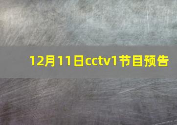 12月11日cctv1节目预告