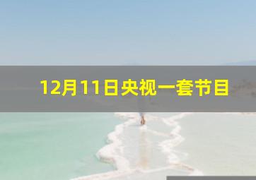 12月11日央视一套节目