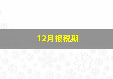 12月报税期