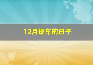 12月提车的日子