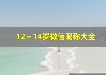 12～14岁微信昵称大全