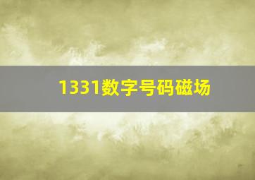 1331数字号码磁场