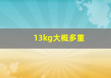 13kg大概多重