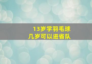 13岁学羽毛球几岁可以进省队