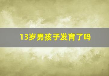 13岁男孩子发育了吗