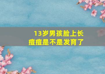 13岁男孩脸上长痘痘是不是发育了