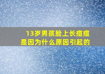 13岁男孩脸上长痘痘是因为什么原因引起的