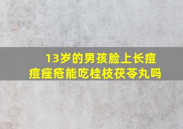 13岁的男孩脸上长痘痘痤疮能吃桂枝茯苓丸吗