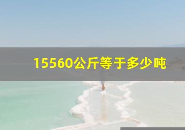 15560公斤等于多少吨