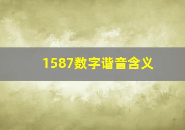 1587数字谐音含义