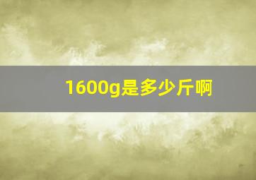 1600g是多少斤啊