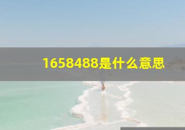 1658488是什么意思