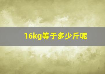 16kg等于多少斤呢