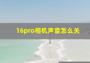 16pro相机声音怎么关